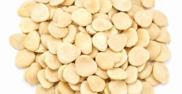 Peeled Bitter Apricot Kernels