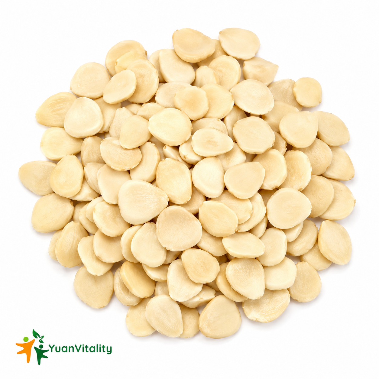 Peeled Bitter Apricot Kernels
