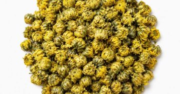 Chrysanthemum Tea