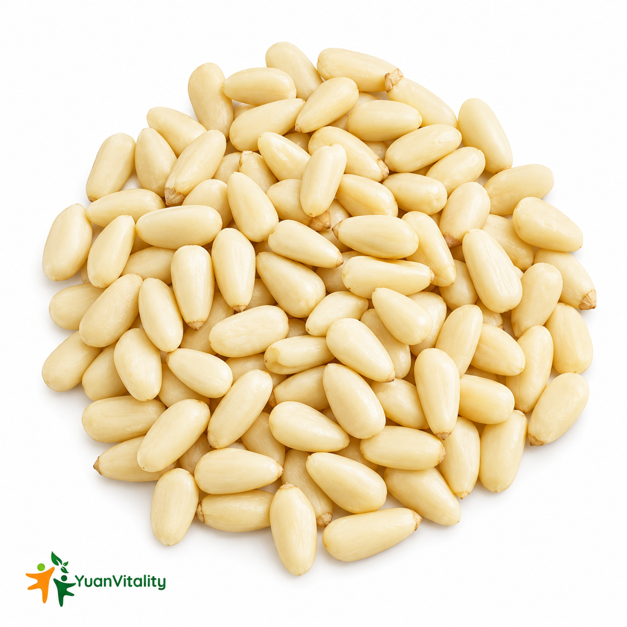 Pine Nuts