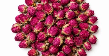 Double-Petal Rose Tea