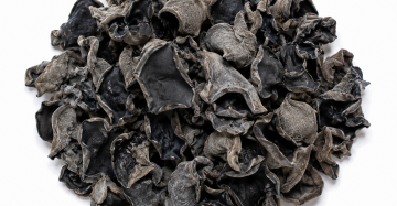 Premium Black Fungus