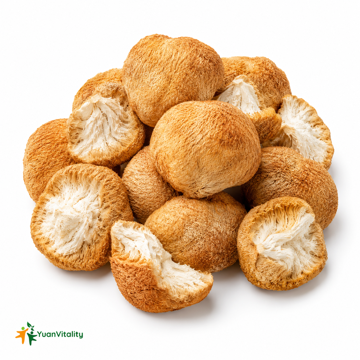 Premium Lion’s Mane Mushrooms