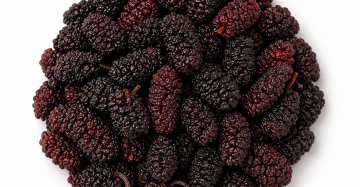 Xinjiang Turpan Dried Black Mulberries