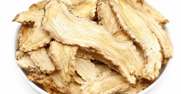 Angelica Root