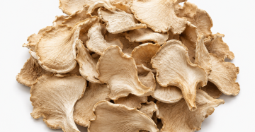 Oyster Mushrooms