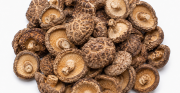 Shiitake Mushrooms