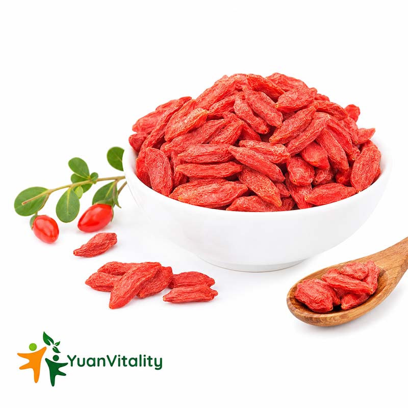 Ningxia Goji Berry