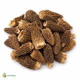 Morel Mushrooms