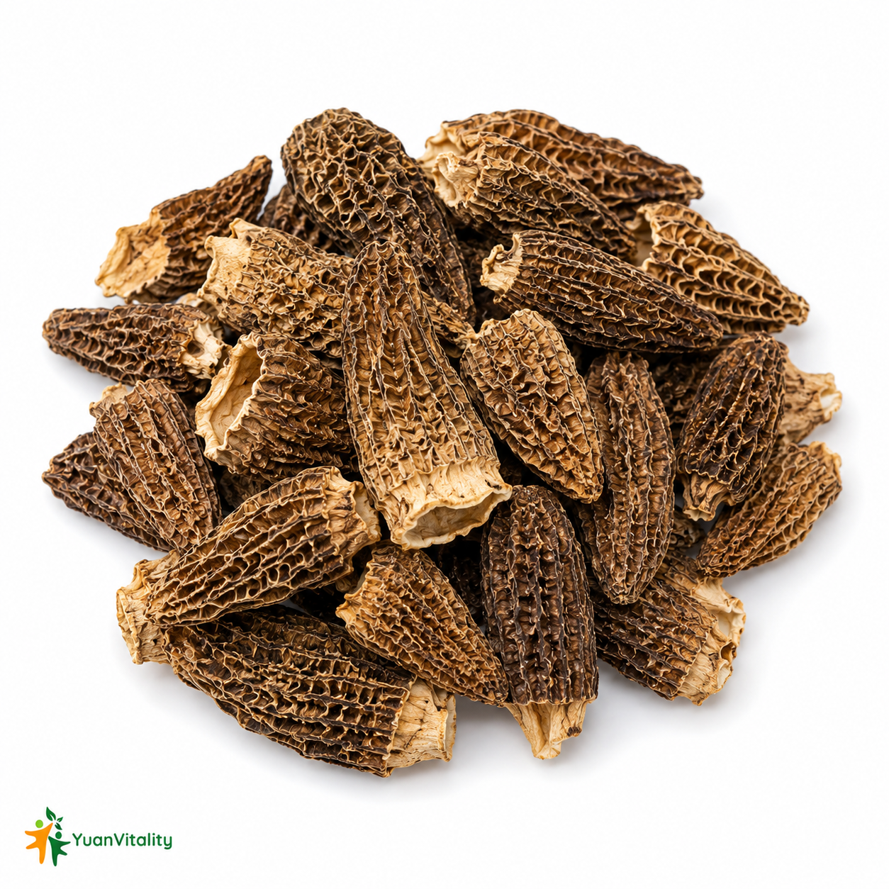 Morel Mushrooms