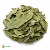 Dragon's Tongue Leaf