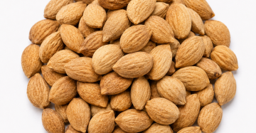 Peeled Peach Kernel