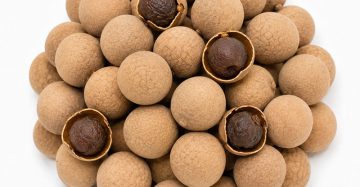 Dried Longan with Shell