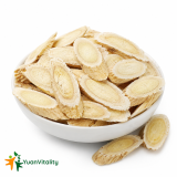 Astragalus Root