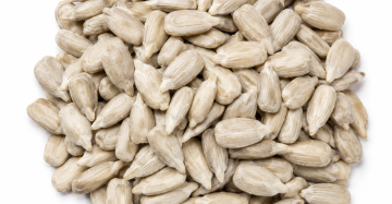 Sunflower Kernels