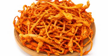 Cordyceps Flower