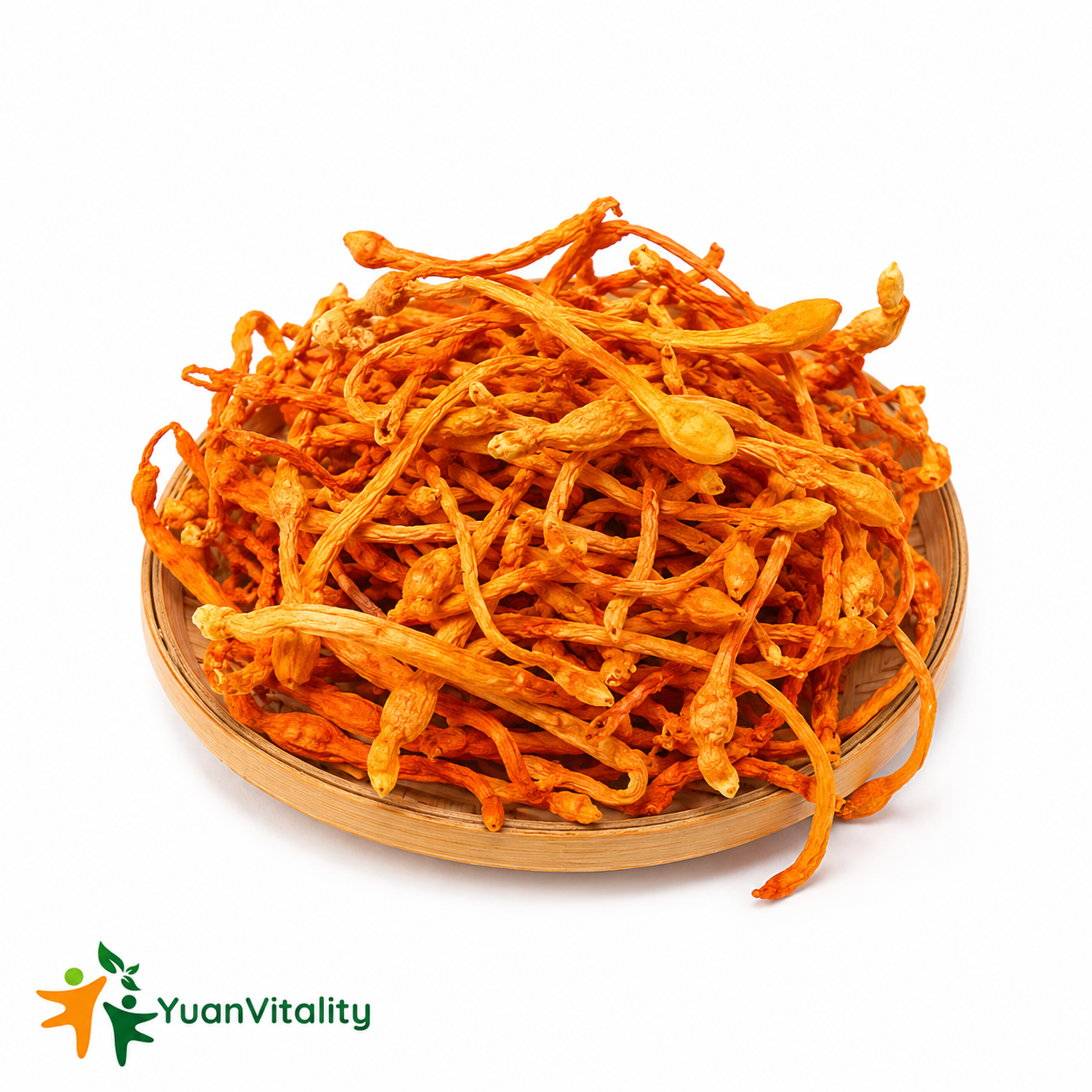 Cordyceps Flower
