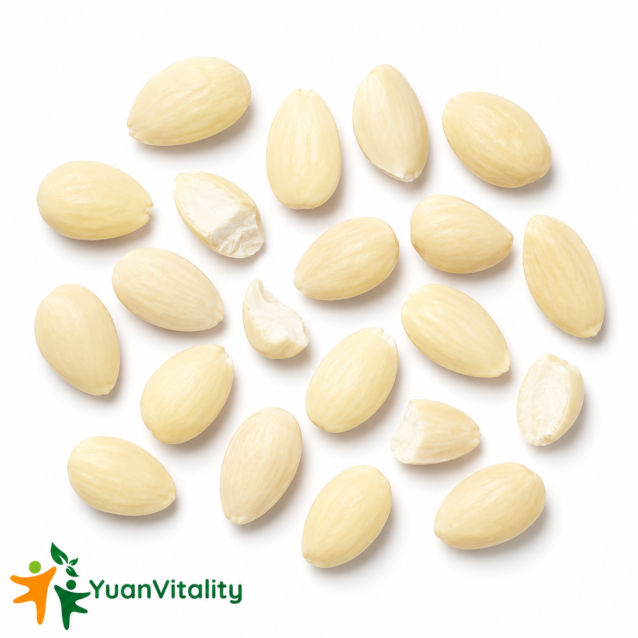 Peeled Sweet Apricot Kernels