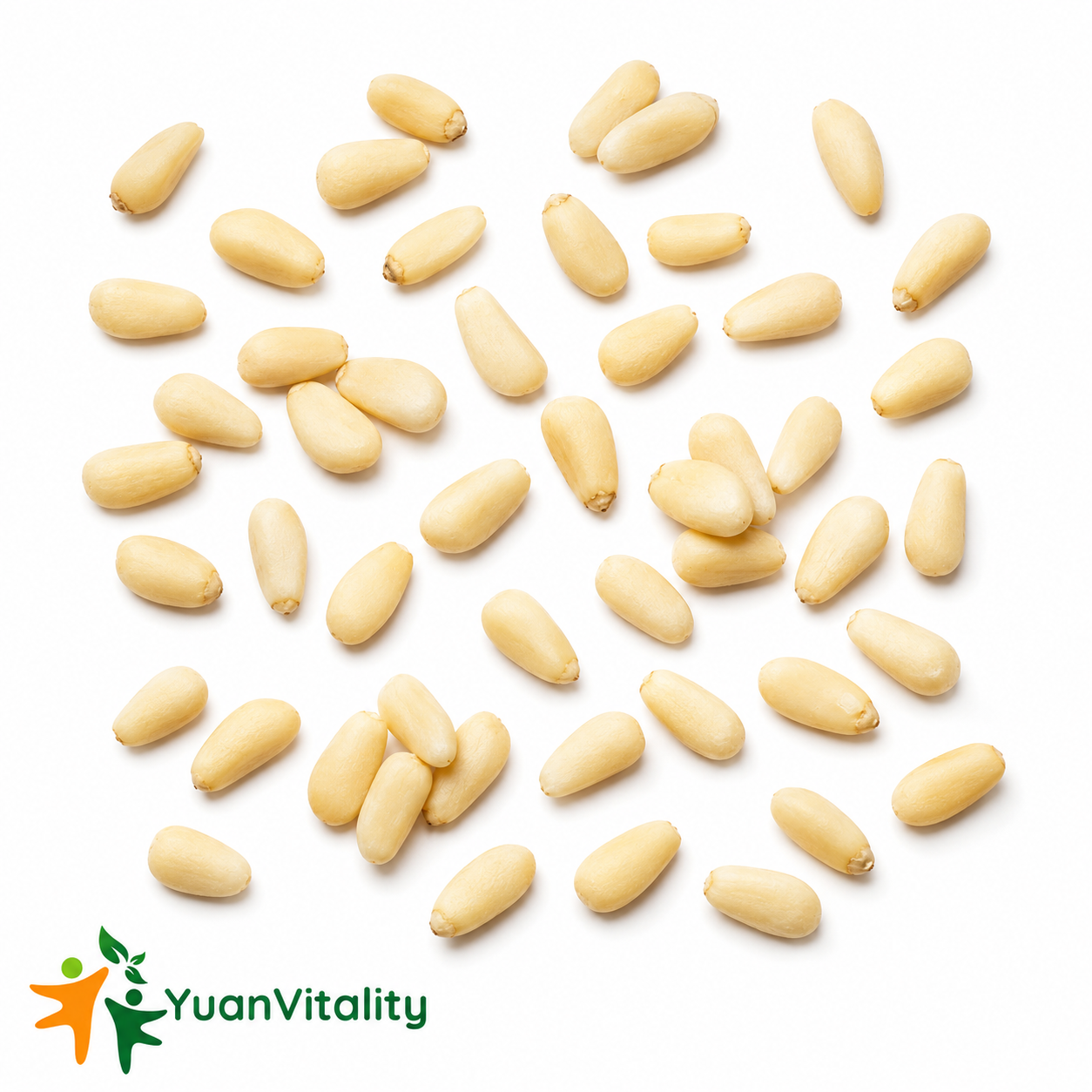 Pine Nuts