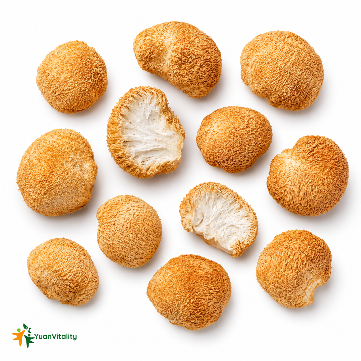 Premium Lion’s Mane Mushrooms