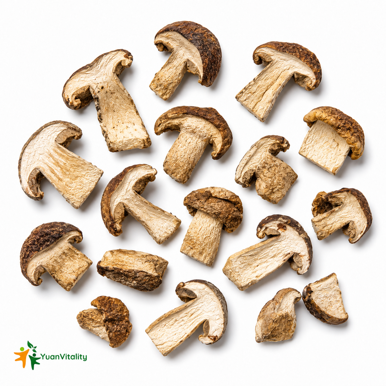 Porcini Mushrooms