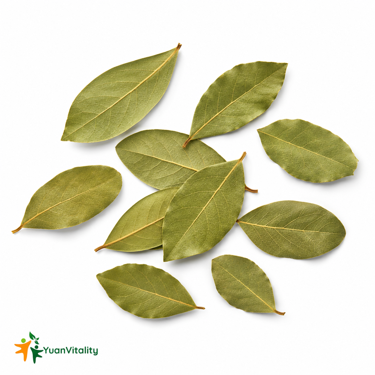 Bay Leaves