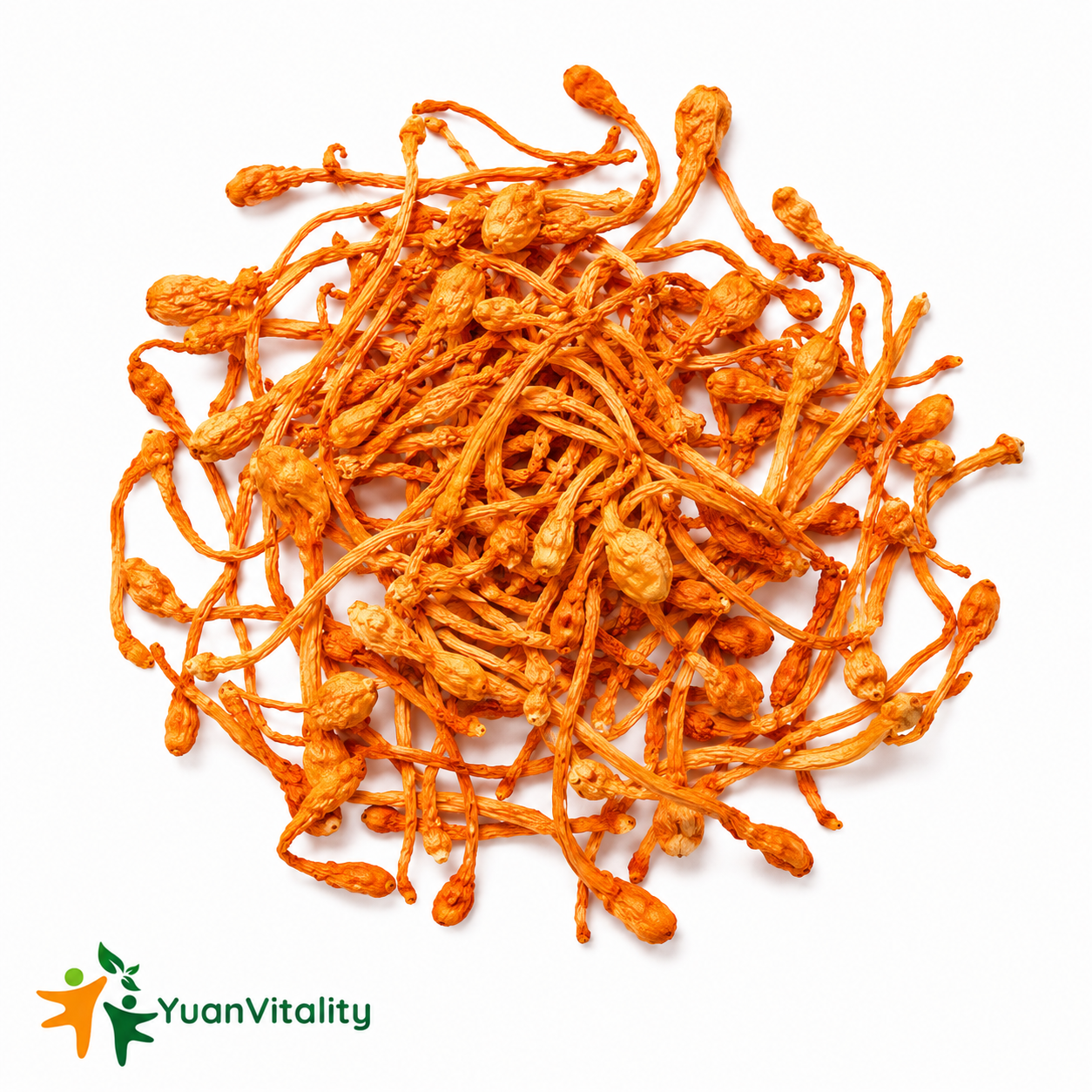 Cordyceps Flower