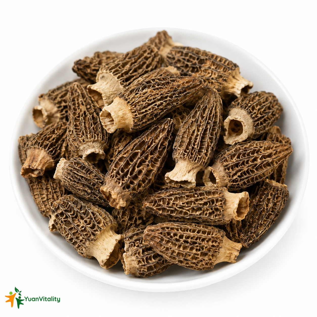 Morel Mushrooms