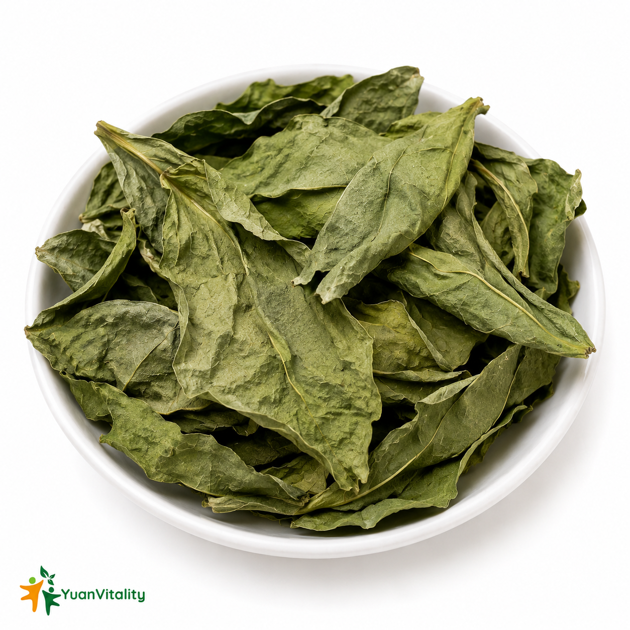 Dragon's Tongue Leaf
