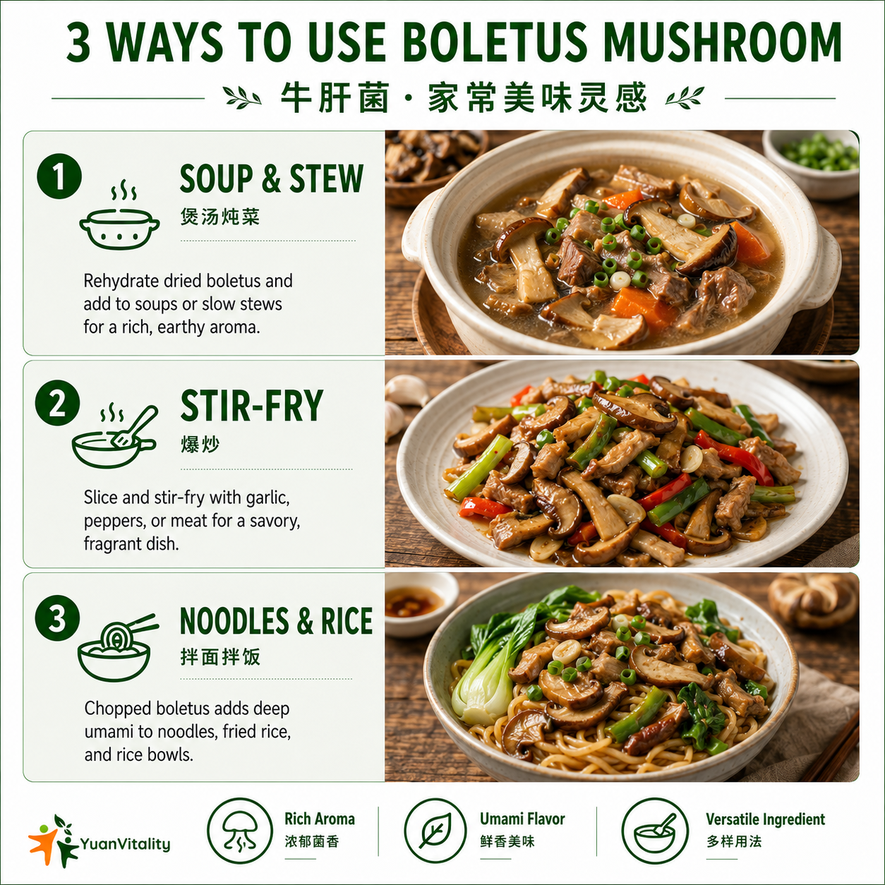 Porcini Mushrooms