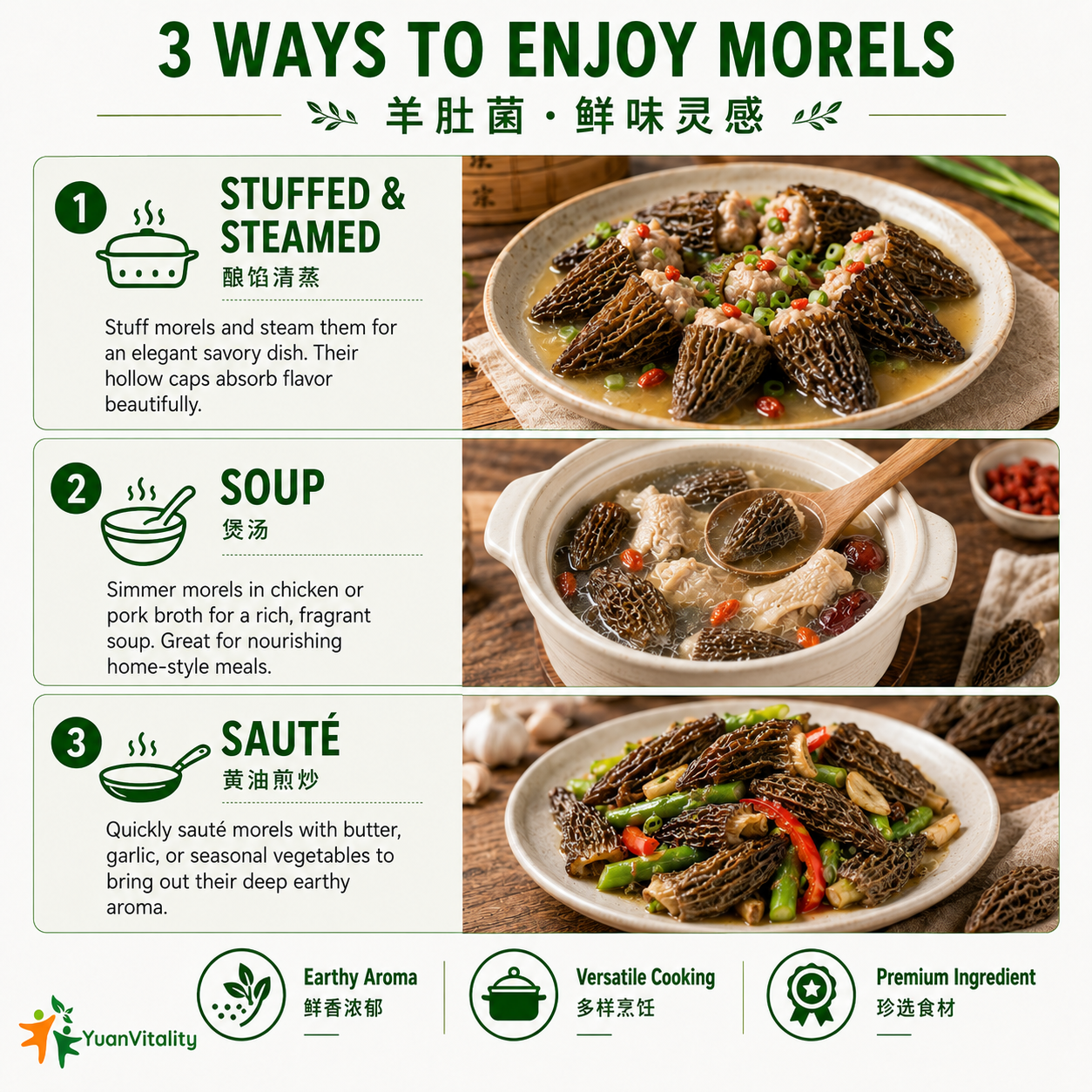 Morel Mushrooms