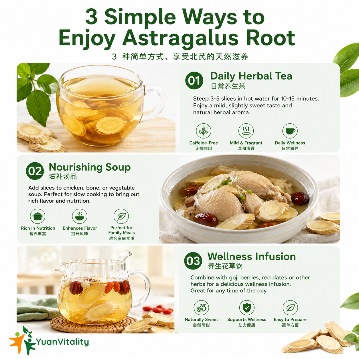Astragalus Root