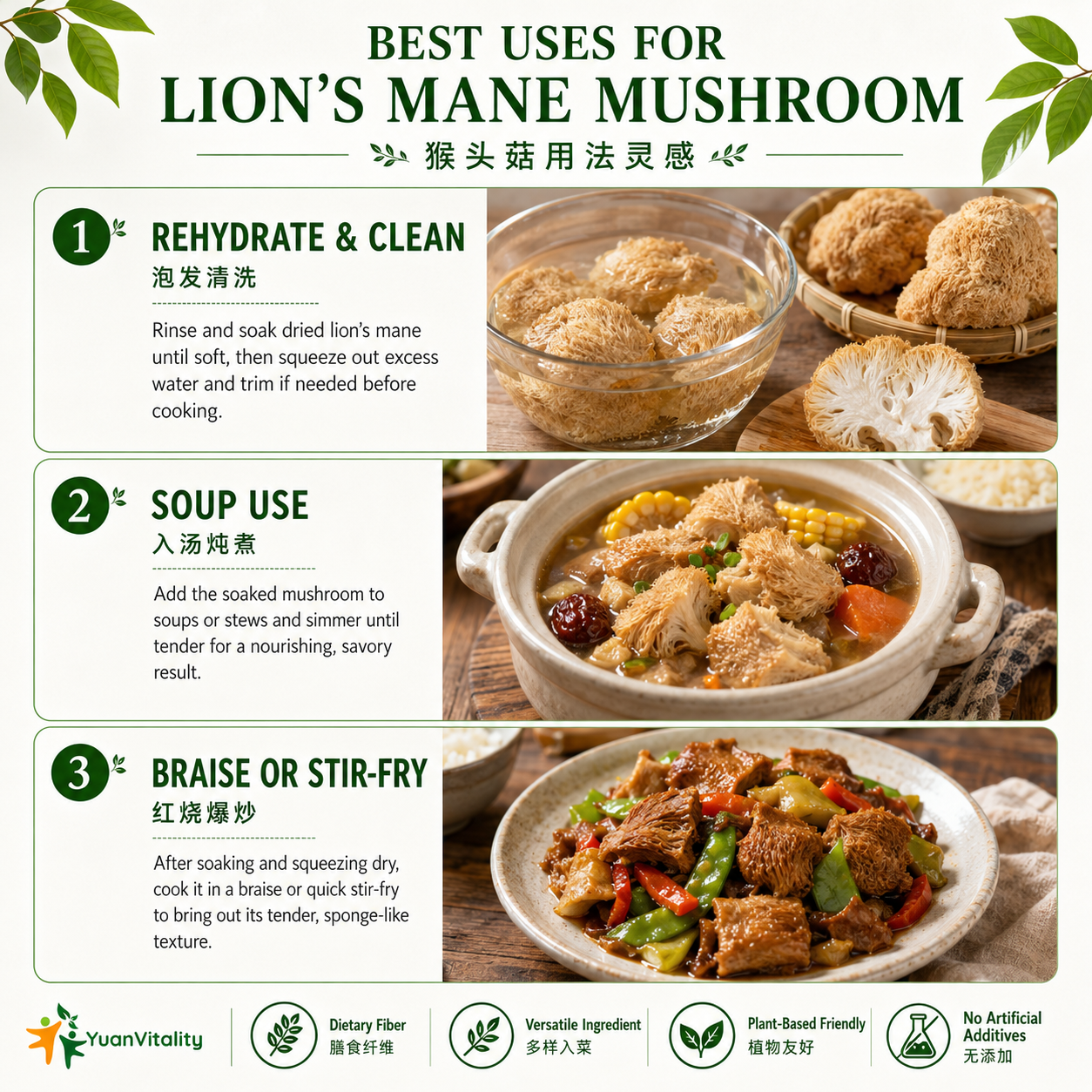 Premium Lion’s Mane Mushrooms