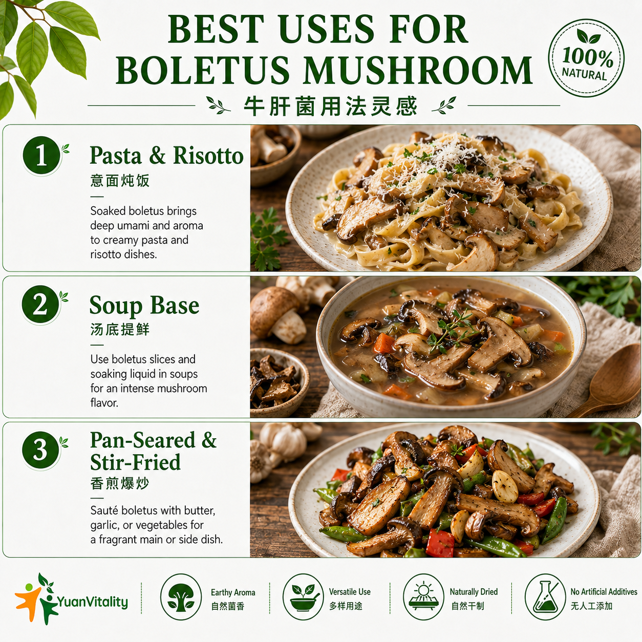 Porcini Mushrooms