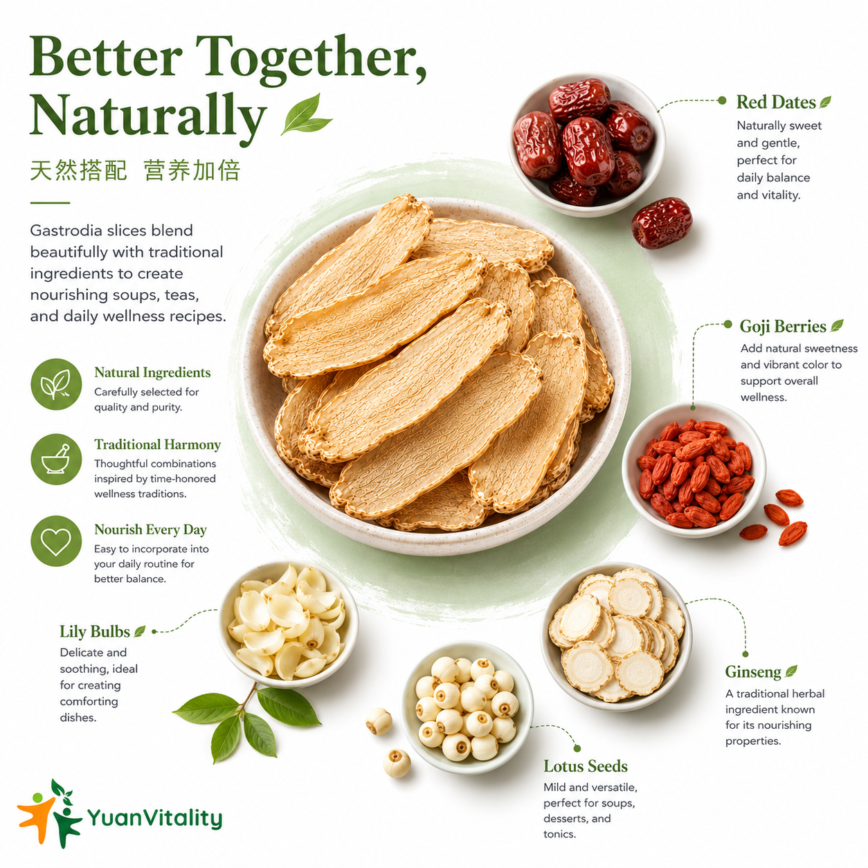 Gastrodia slices