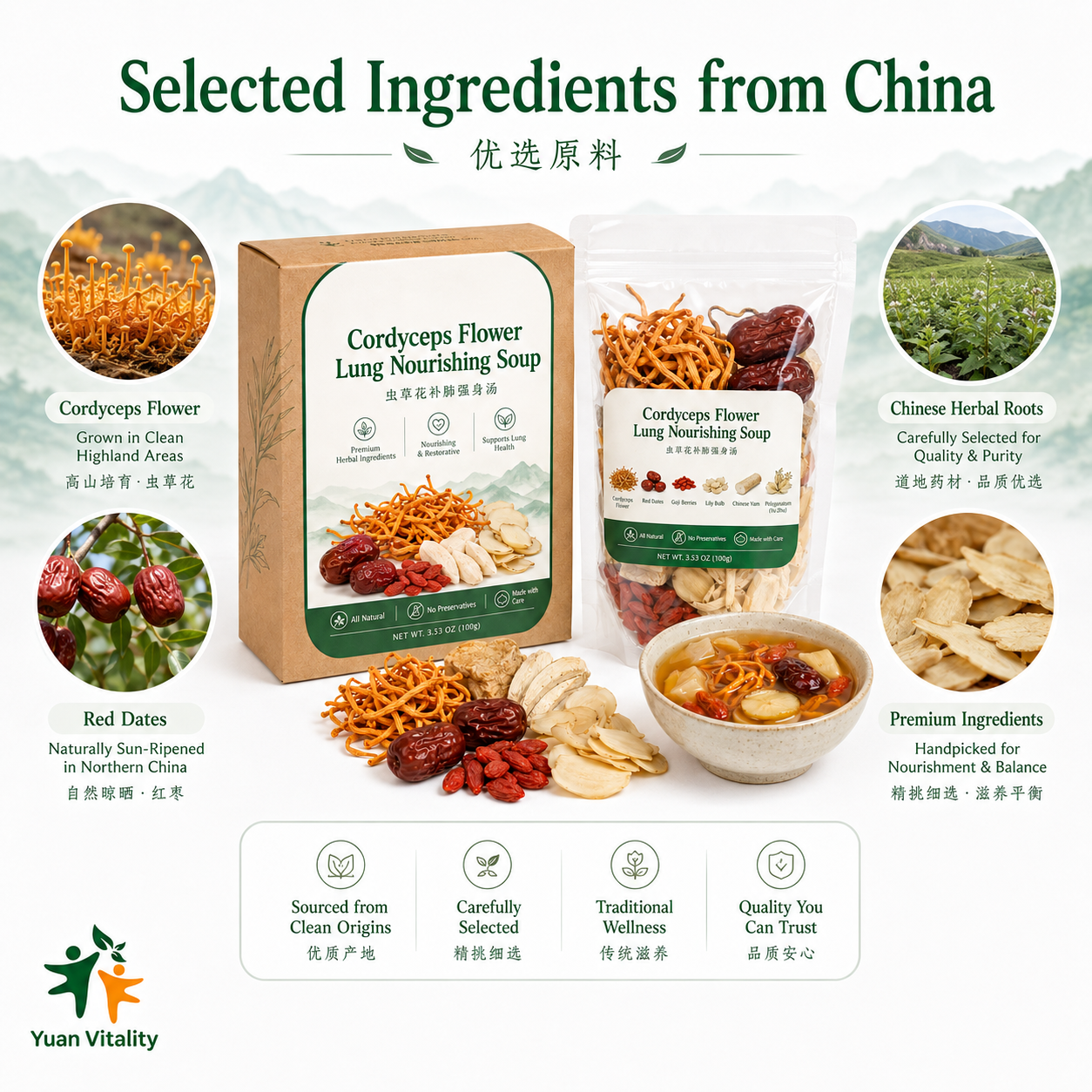 Cordyceps Flower Lung Nourishing Soup