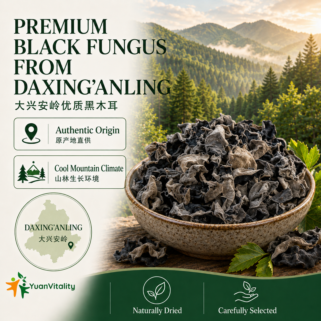 Premium Black Fungus