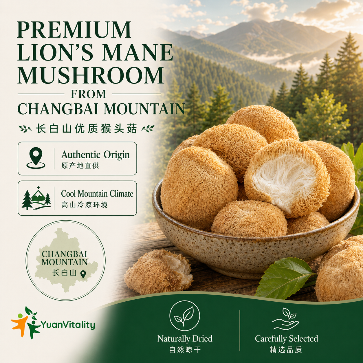 Premium Lion’s Mane Mushrooms