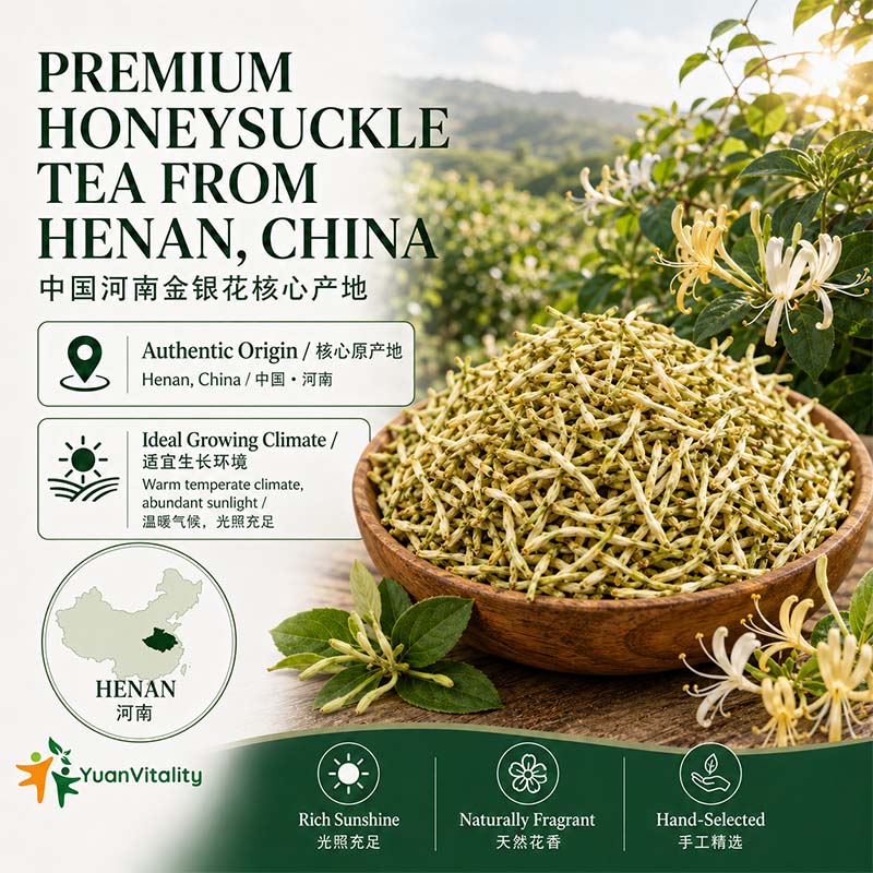 Honeysuckle Tea