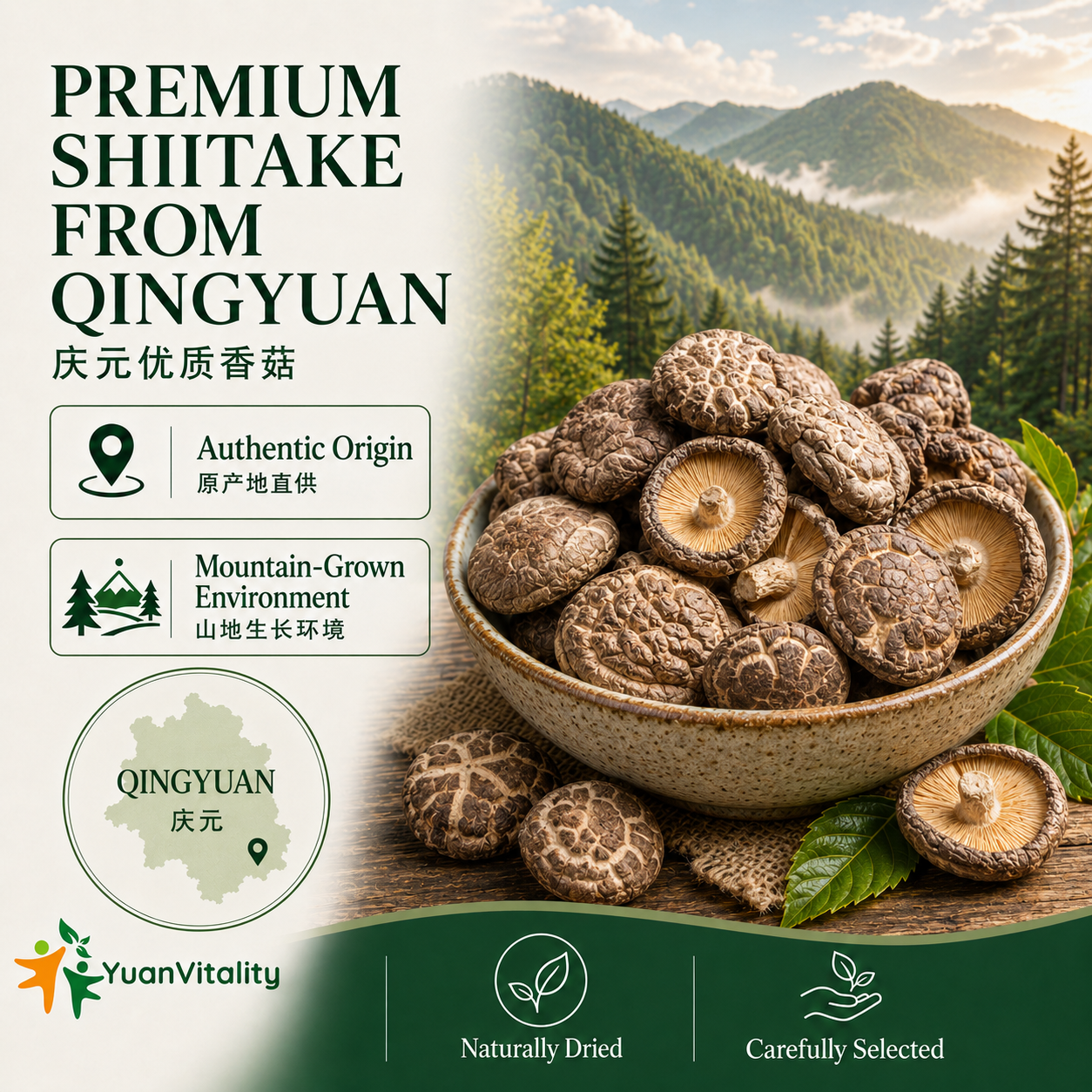Shiitake Mushrooms