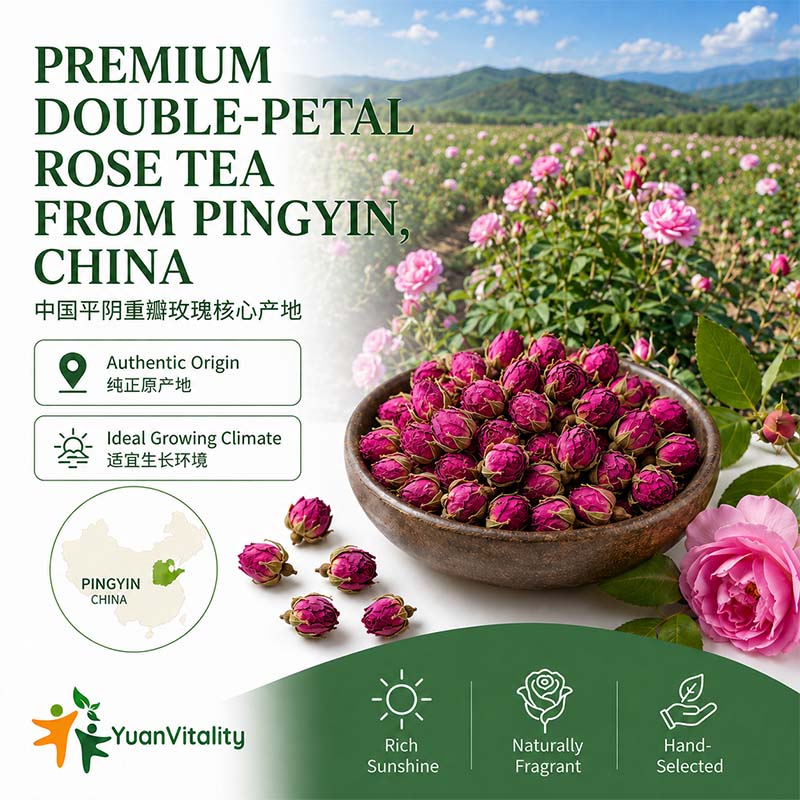 Double-Petal Rose Tea