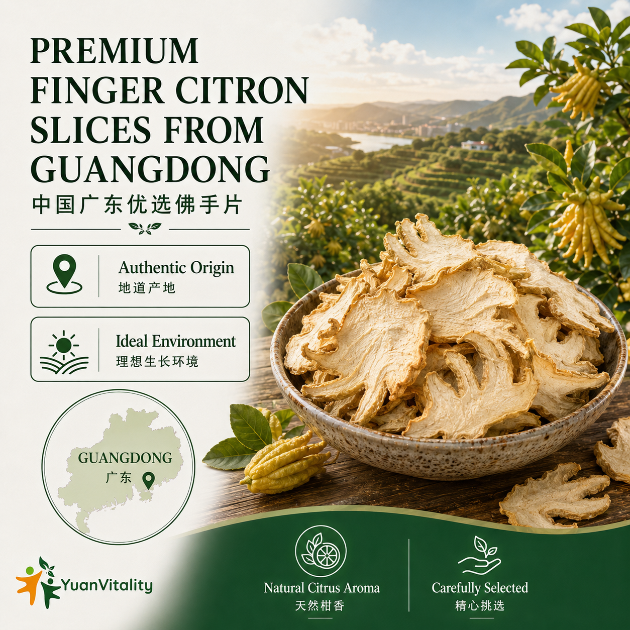 Finger Citron Slices