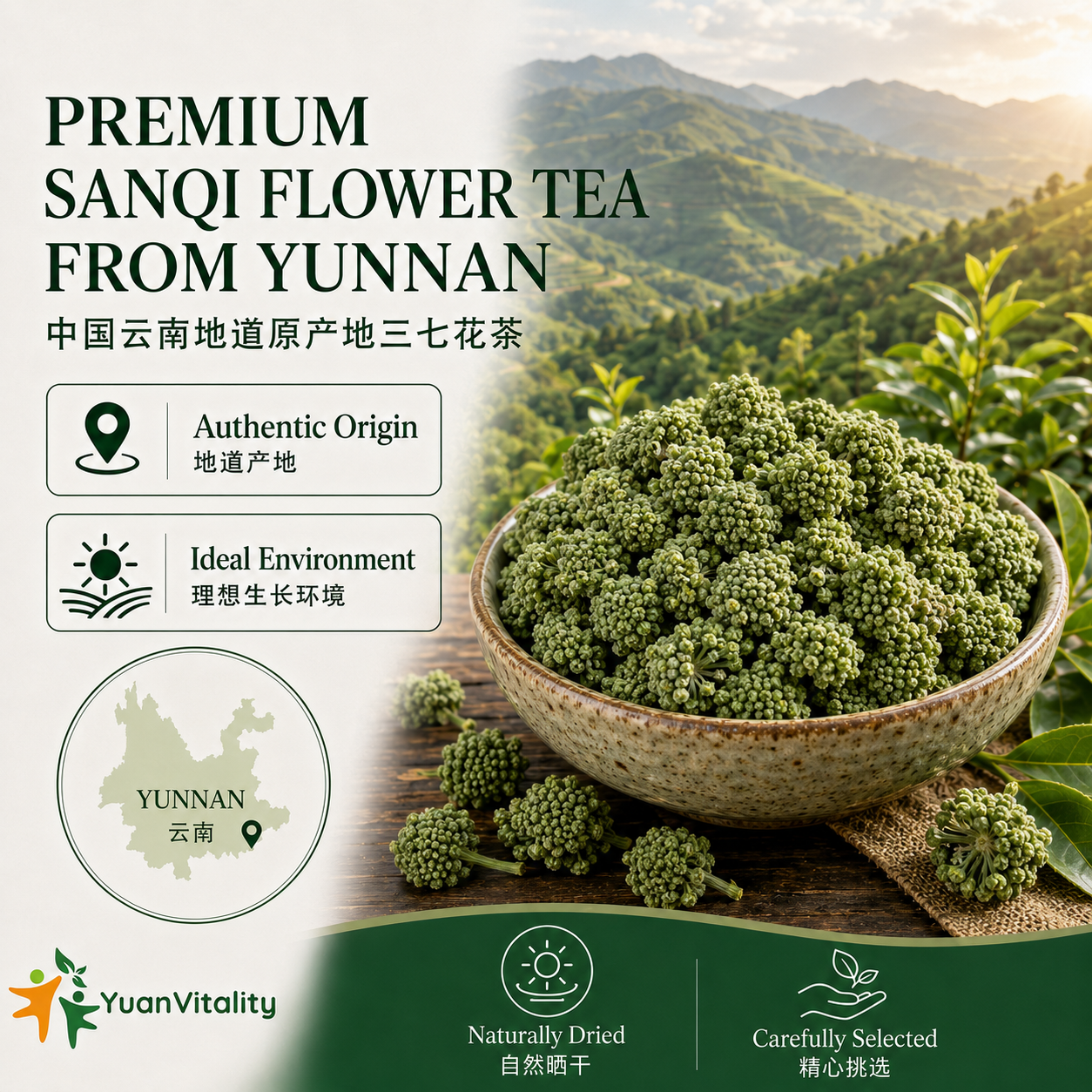 Sanqi Flower Tea