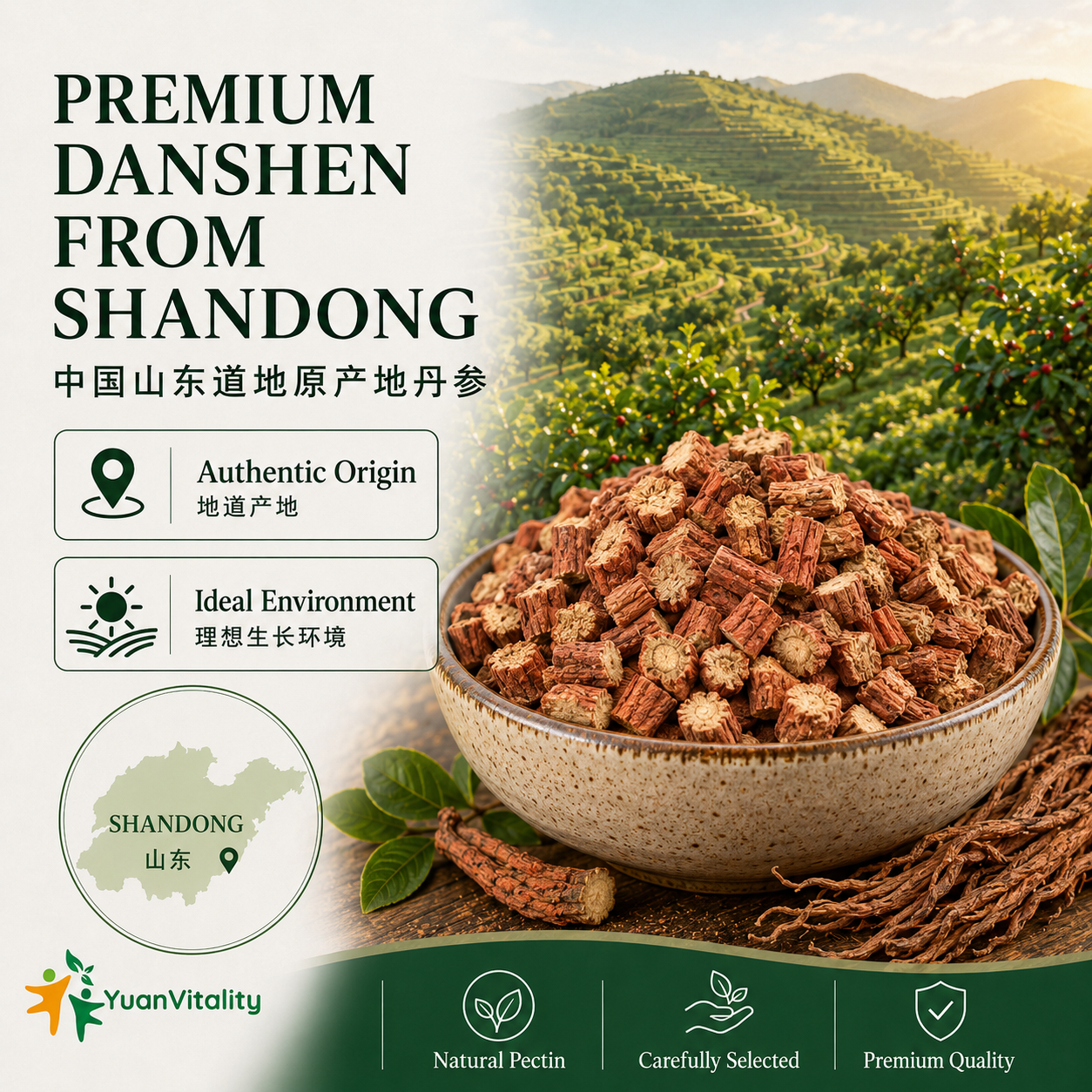 Danshen Root