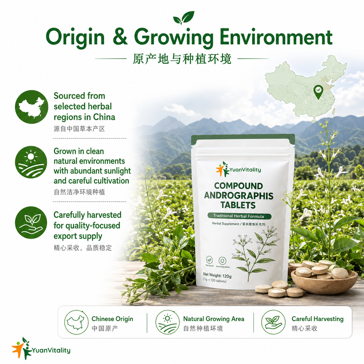 Compound Chuanxinlian Tablets