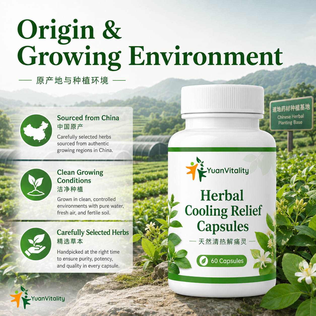 Natural Cooling Relief Capsules