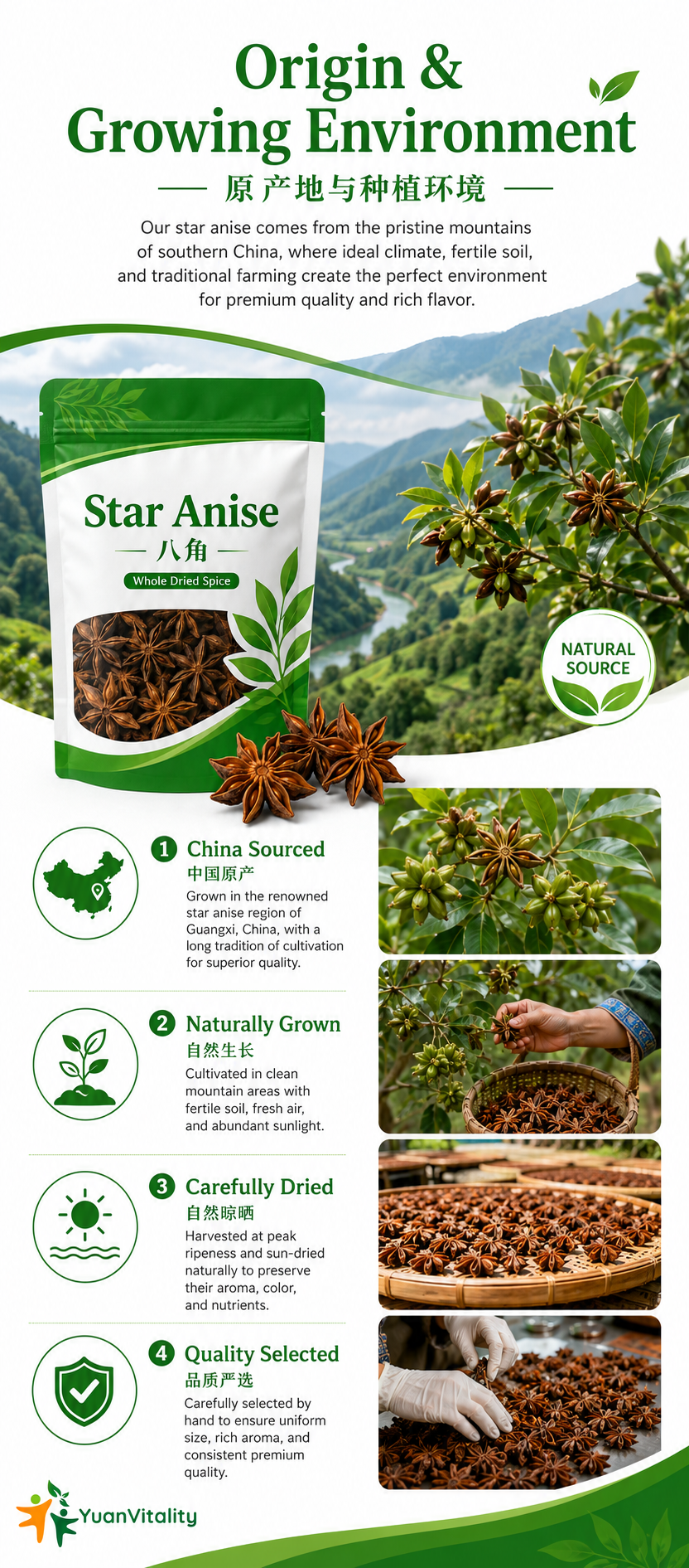Star Anise