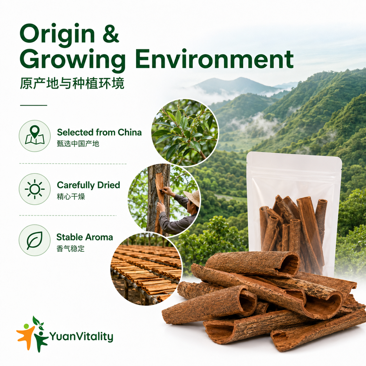 Cassia Cinnamon Bark