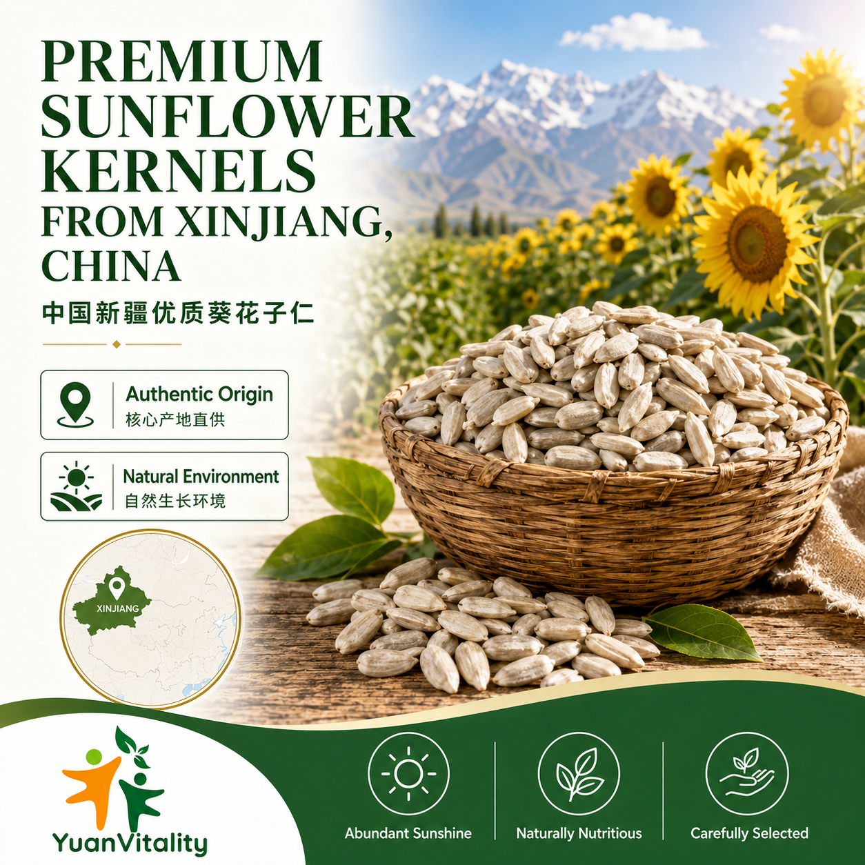 Sunflower Kernels