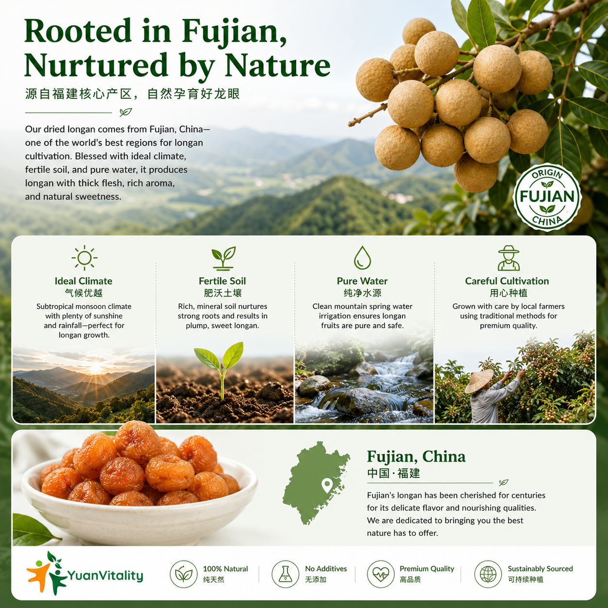 longan pulp